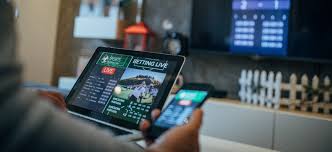 All You Need to Know About Zemen Bet Your Ultimate Betting Guide All You Need to Know About Zemen Bet Your Ultimate Betting Guide