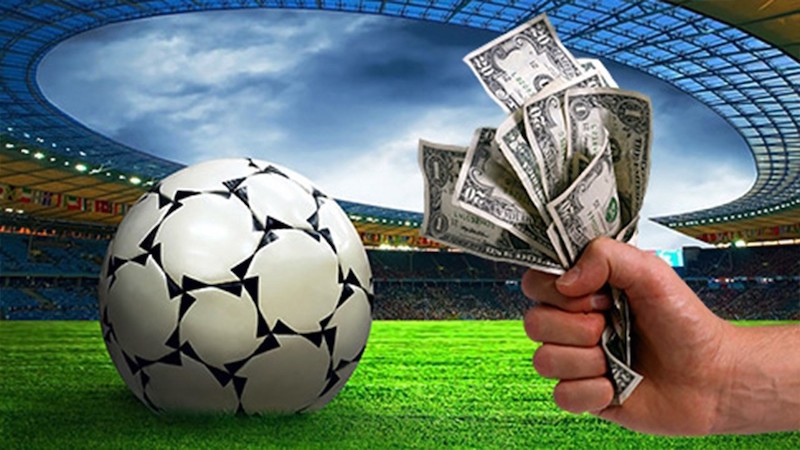 Tout savoir sur betwinner  l'expérience de paris en ligne