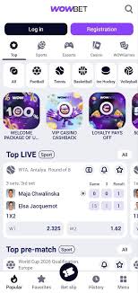 Все, что нужно знать о wowbet слоты